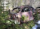 Skrotten i ryd